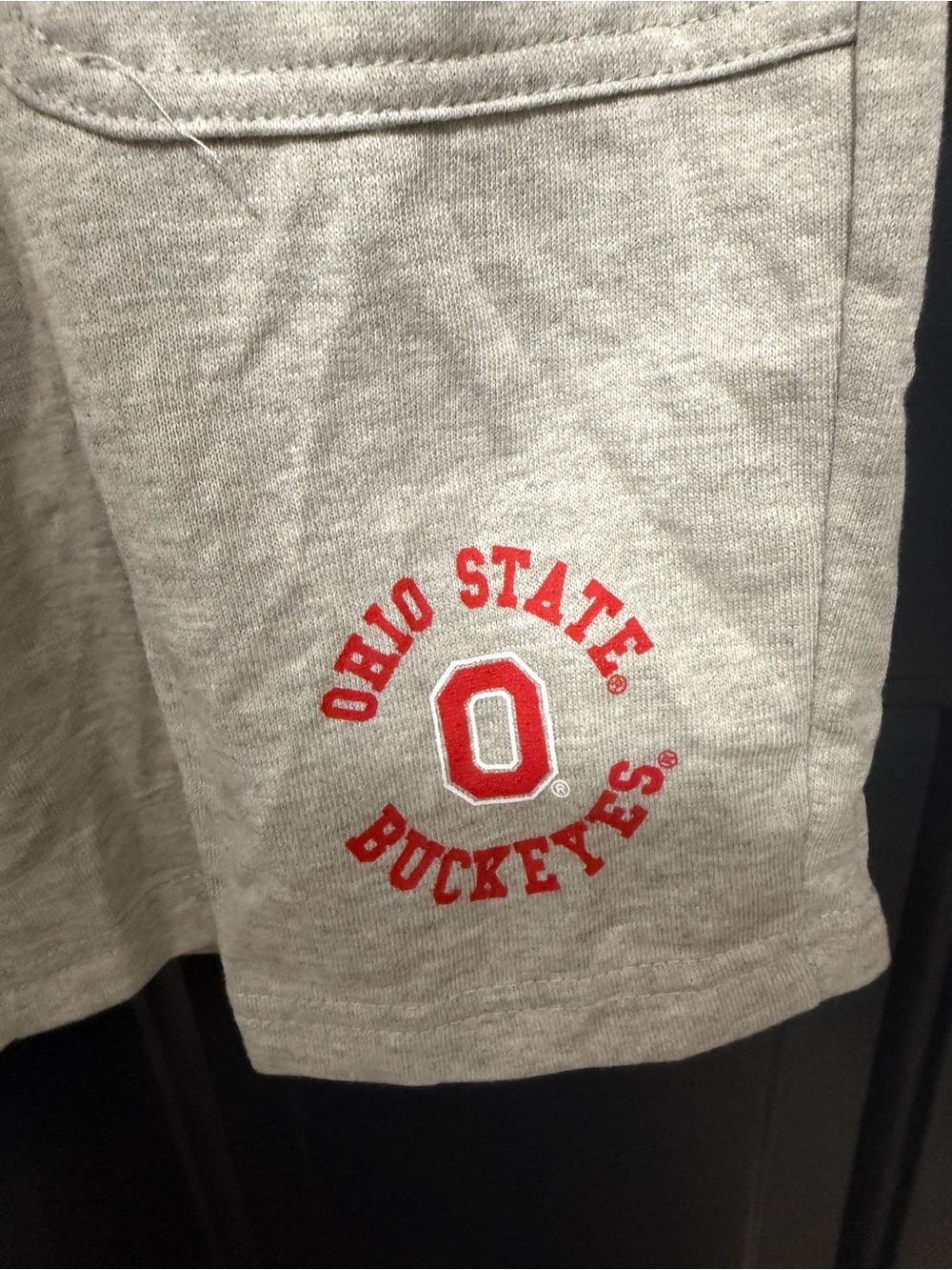 Colosseum Gray Athletic Drawstring Shorts with Red Logo Accent Ohio State - Picture 2 of 8